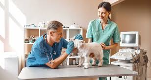 Health Checkup