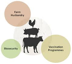 Disease Prevention