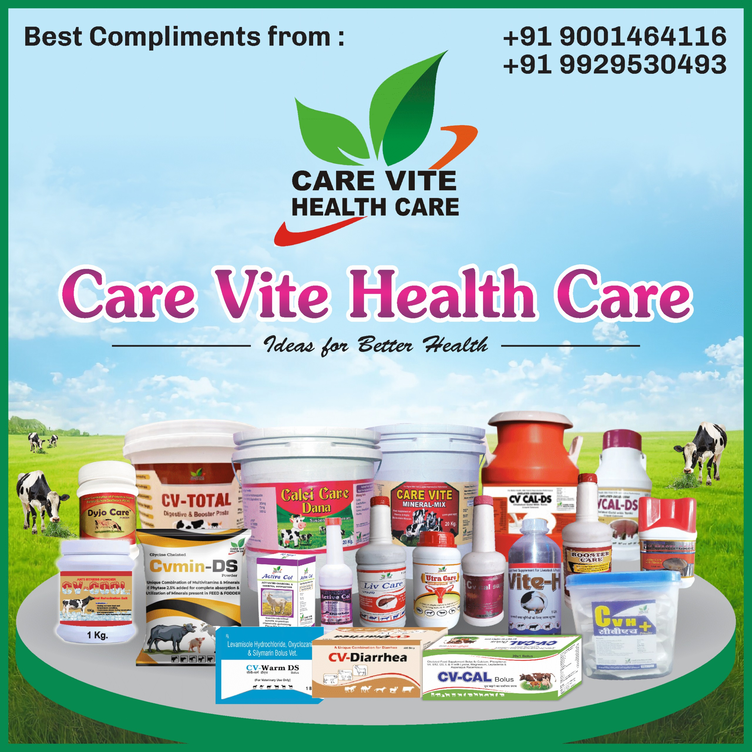 Care Vite Health Care