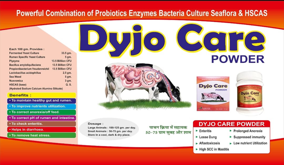 Dyjo Care Powder