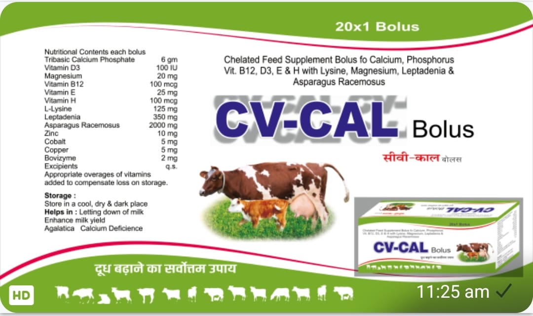 CV-CAL Bolus