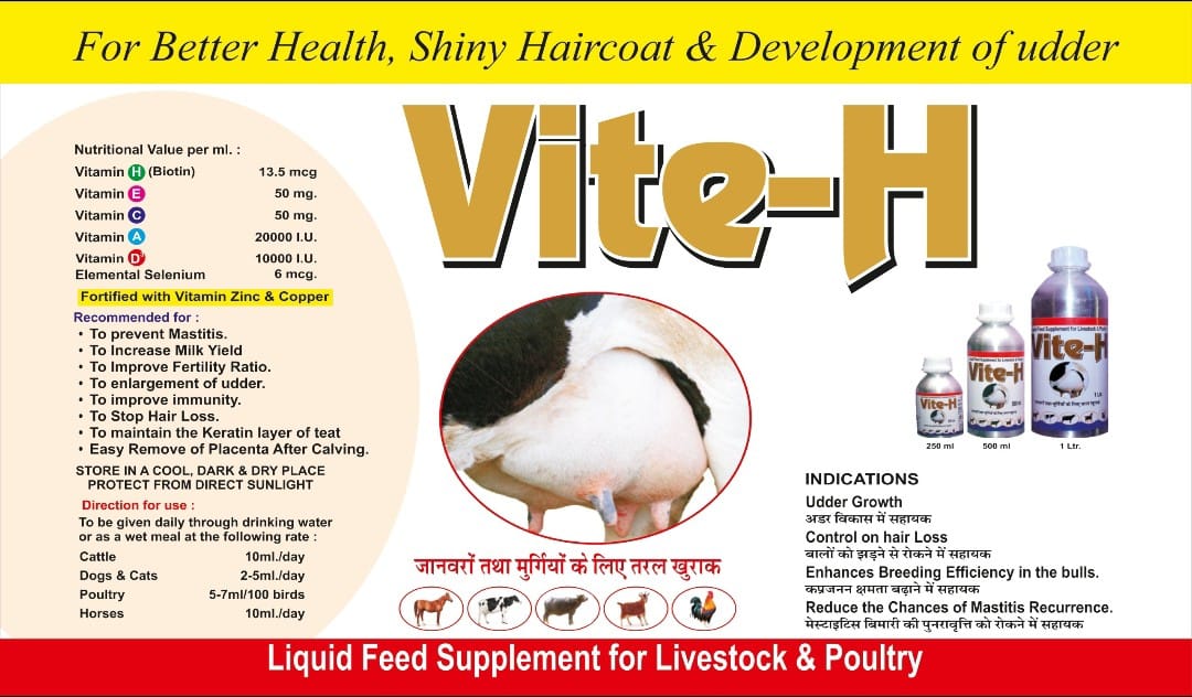 Vite-H