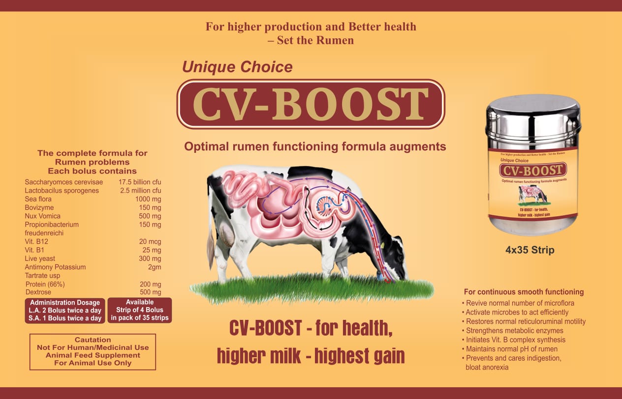 CV-BOOST