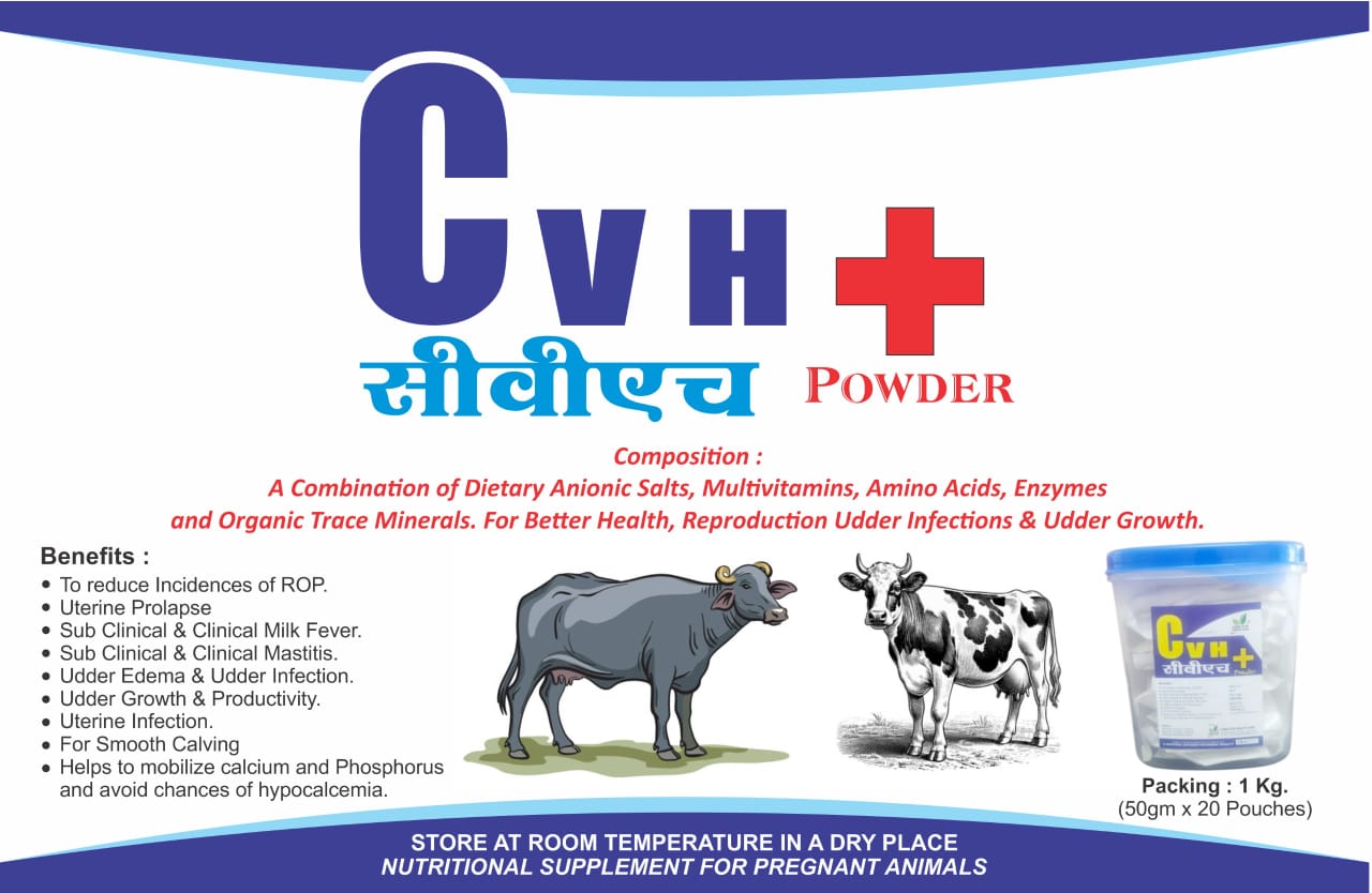 CVH +Powder