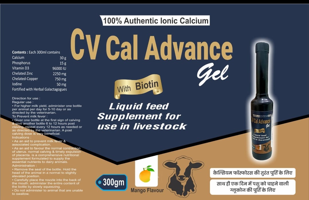 CVH +Powder